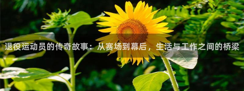 海南米兰体育官网下载：退役运动员的传奇故事：从赛场到