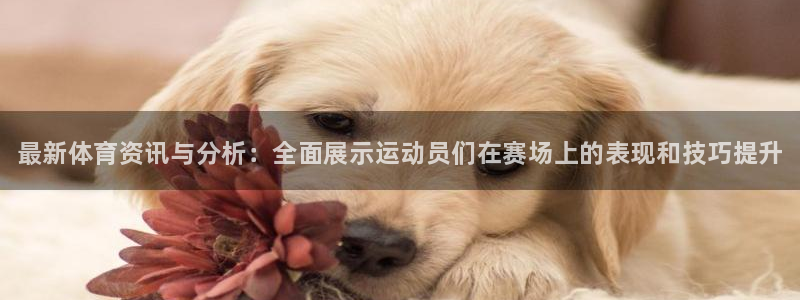 米兰体育官方集团官网：最新体育资讯与分析：全面展示运