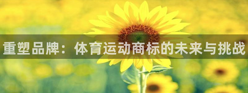 米兰体育官方正版app娱乐代理怎么样：重塑品牌：体育