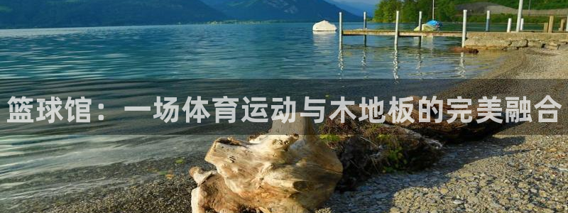 米兰体育官网下载招商：篮球馆：一场体育运动与木地板的完美融合