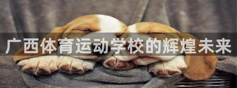 米兰体育官网下载软件：广西体育运动学校的辉煌未来