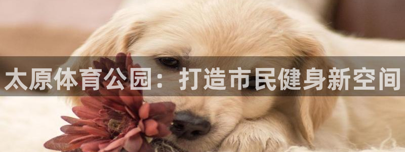 米兰体育官方正版app娱乐平台：太原体育公园：打造市民健身新