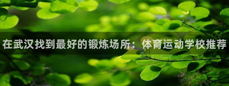 米兰体育官网下载招商电话号码查询：在武汉找到最好的锻
