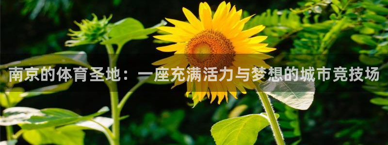 米兰体育官网下载平台假的吗是真的吗：南京的体育圣地：