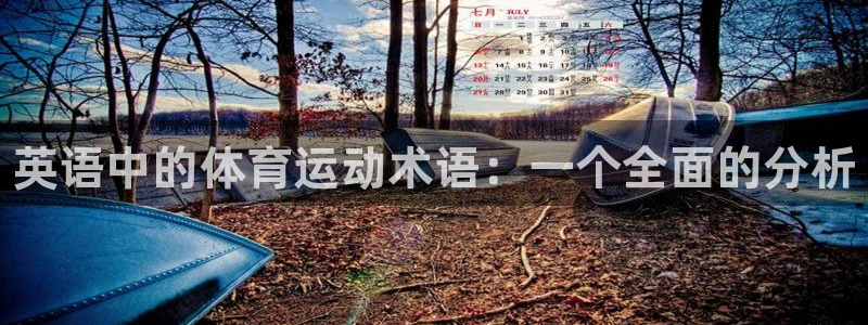 米兰体育官网下载招商：英语中的体育运动术语：一个全面