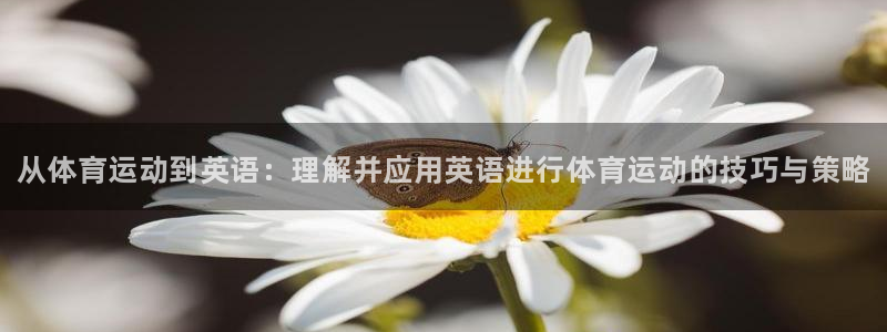 米兰体育官方正版app娱乐首页网站大全：从体育运动到英语：理
