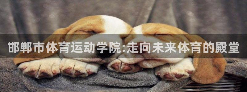 米兰体育官方正版app娱乐代理怎么样：邯郸市体育运动