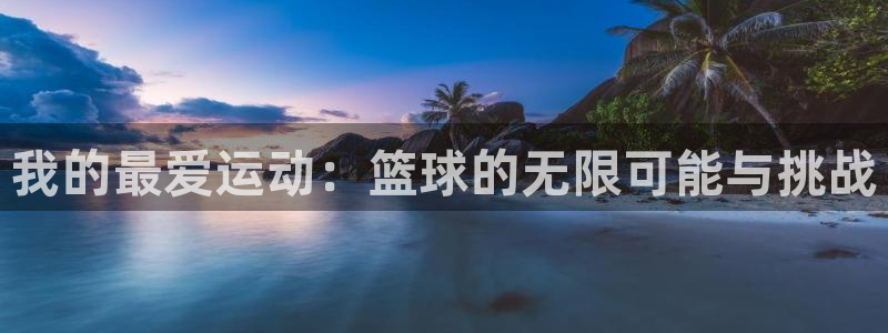 米兰体育官方正版app五金厂：我的最爱运动：篮球的无