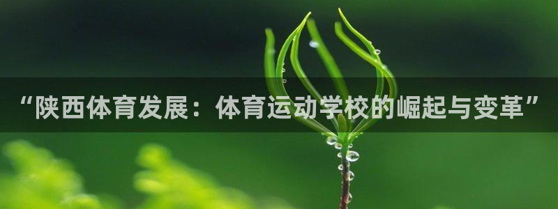 米兰体育官方正版app娱乐平台：“陕西体育发展：体育运动学校