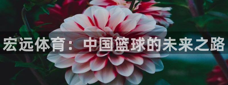 米兰体育官方平台体育：宏远体育：中国篮球的未来之路
