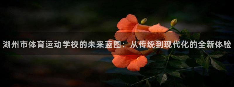 米兰体育官网下载招商电话号码是多少啊：湖州市体育运动