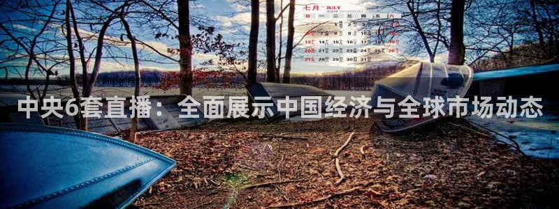 五星体育中心：中央6套直播：全面展示中国经济与全球市场动态