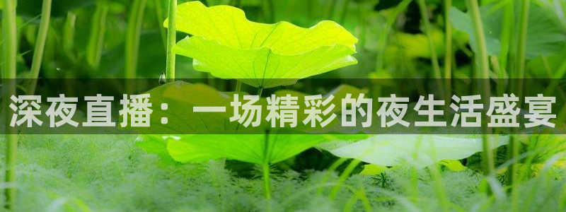五星体育直播吧：深夜直播：一场精彩的夜生活盛宴