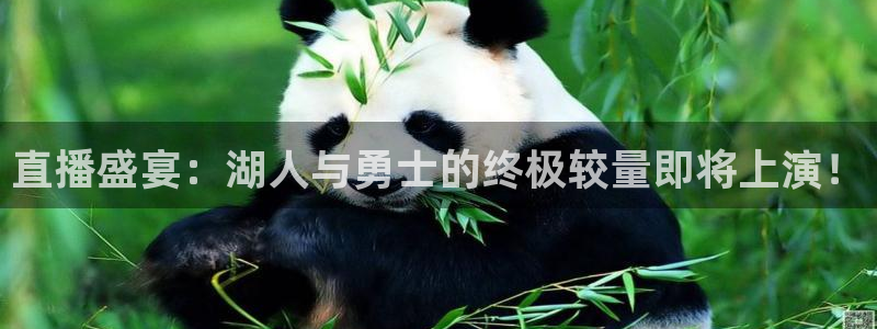 五星体育直播网：直播盛宴：湖人与勇士的终极较量即将上演！