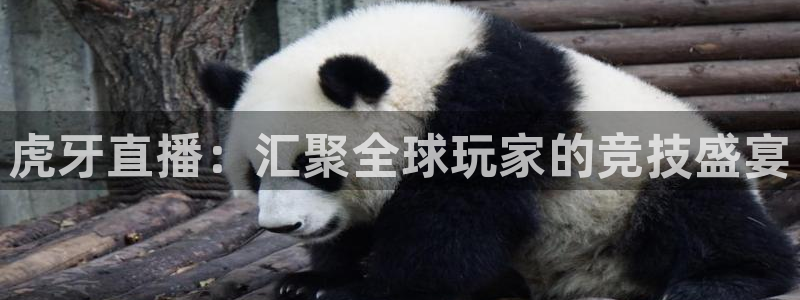 今日五星体育斯诺克直播：虎牙直播：汇聚全球玩家的竞技盛宴