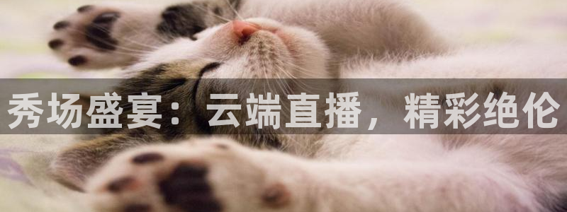 在哪里看五星体育f1直播：秀场盛宴：云端直播，精彩绝伦