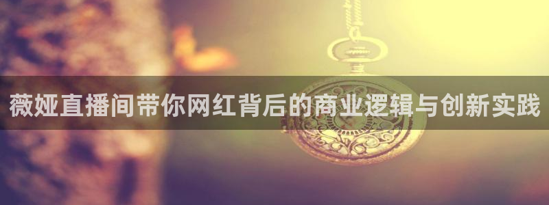 五星体育 李兵：薇娅直播间带你网红背后的商业逻辑与创新实践